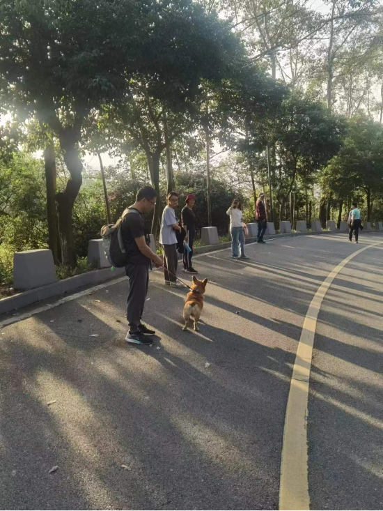 已處理1755856096401圖片1.png